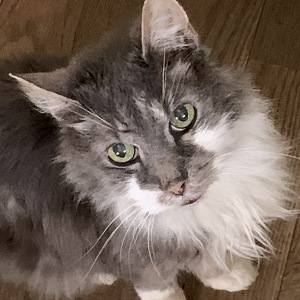 Fundraising Page: Smokey PAC Alum